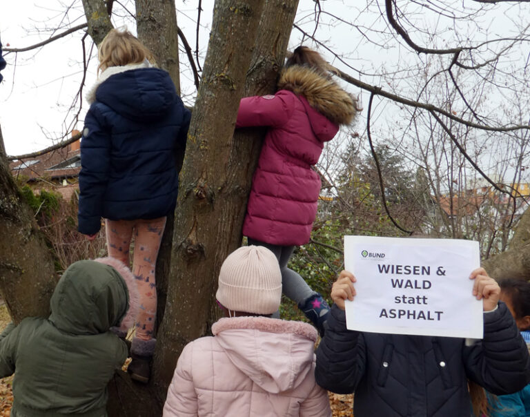 Read more about the article „Wald statt Asphalt“: zum Tag des Bodens