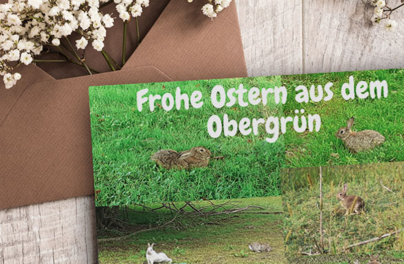 Read more about the article Ostergrüße aus dem Obergrün